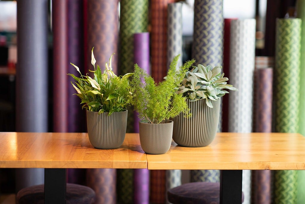 bloempotten gemaakt van gerecycled kunststof in een interieur