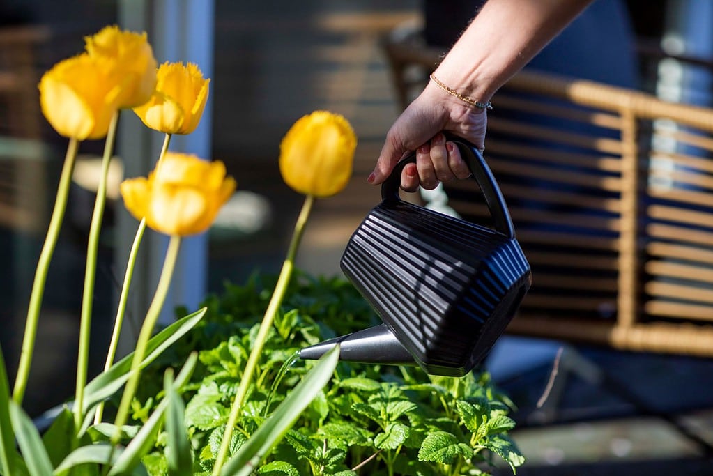 Xala doppio groove black 