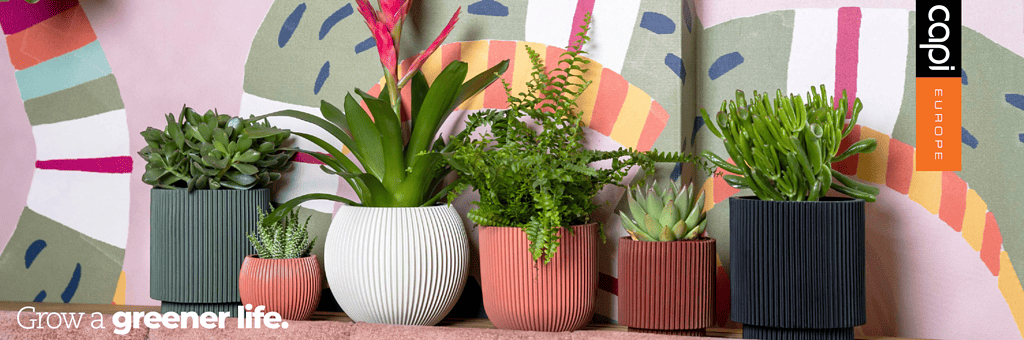 capi nature groove potten in verschillende formaten en kleuren in een vrolijk interieur