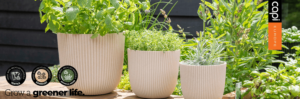 capi nature groove mix