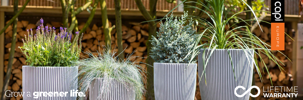 header afbeelding nature groove