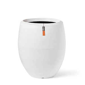 Vaas elegant deluxe Arc Granite