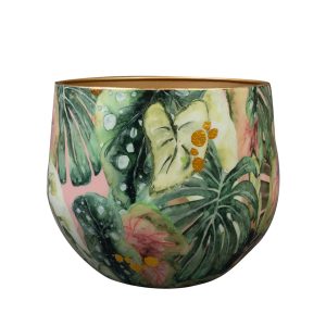 Pot Monstera mystery